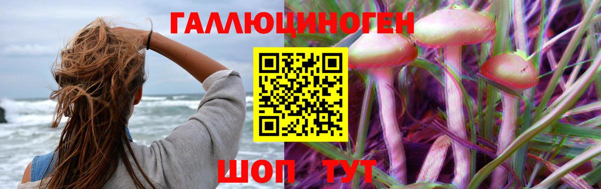 Псилоцибиновые грибы Psilocybe  Псилоцибиновые грибы Psilocybine cubensis  Волгоград  Вход с VPN 